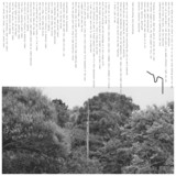 Point No Point - Drift