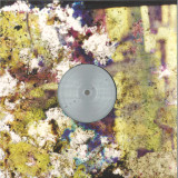 Lorenzo Fortino - Istanti Per Volare Via LP