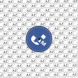 Mellow Man - In A Flow