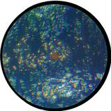 Mikkel Metal - Without Ep