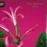 Various - Pop Ambient 2014