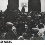 Sky Walking - Sky Walking