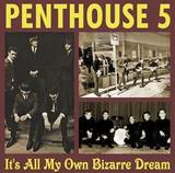 Penthouse 5 - It's All My Own Bizarre Dream