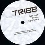 Various - The Dub I Lost Ep2 (incl. Larry Heard, Zepherin Saint & Oral Deep Remix)
