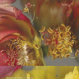 QUIN2 / THE SUB SYSTEM / THE BLACK SUN - ANTWERP BIO TECHNO 1989-92 EP 2