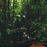 Gigi Testa - Rio Grande