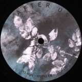 Mattias Fridell - Volster - Unis - Bogdan - AFTUS001