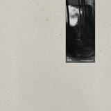 DE BEREN GIEREN - BROENSGEBUZZE EP