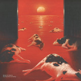 MICHIEL DE MALSCHE - THE DISCOMFORT OF EVENING LP