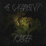 Aleksandra Słyż - A Vibrant Touch