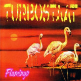 Turbostaat - Flamingo (Ltd. LP)