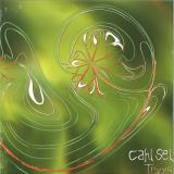 Cahl Sel - Traces 2x12"