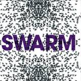 New York Transit Authority - Swarm