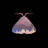 Chairlift - Moth Cd
