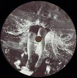 Steppin Wolf - Swipe Till You Find Me, Hermine