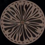 Antsinplot - Antsinplot002