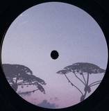 The Invariants - Ti004