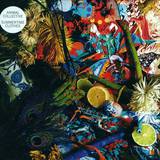 Animal Collective - Summertime Clothes