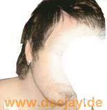 Ascii Disco - Ne Travaillez Jamais