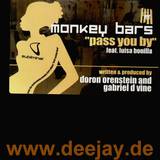 Monkey Bars - Pass You By