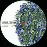 Alejandro Vivanco - Madre Tierra
