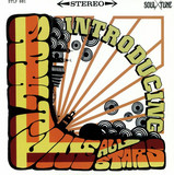 Soul Tune Allstars - Introducing