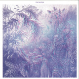 Polynation - Wildeburg / Coral