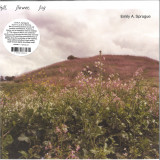 EMILY A. SPRAGUE - HILL, FLOWER FOG