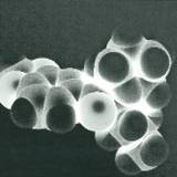 Dj Spider And Marshallito - Deadly Structures Ep