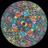 Various - Uncharted Territories Vol.1