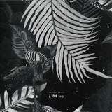 Various ( Verrina & Ventura, John Dimas, Giammarco Orsini, S-audio) - 008 Ep