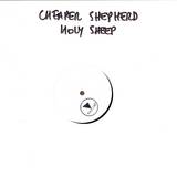 Cheaper Shepherd - Holysheep