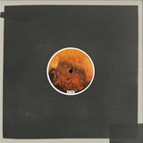 Johannes Volk - Designing Evolution