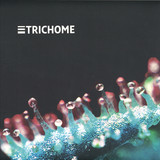 Solomon & Chicaiza - Bending Gravity EP