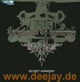 Dj Biks & Dj Tommy - Secret Harmony