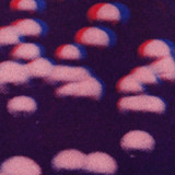 Sébastien Branche - Lignes de Fuite