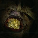 Fracture Ft. Dawn Day Night - Get Busy