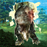 Wampís of Guayabal & Aboutface - Los Bosquesinos (People of the Forests) LP