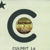 Justin Jay - The Jaguar