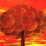 Das Komplex - Kaczence