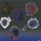 Norwell - Death Of A Star 12"