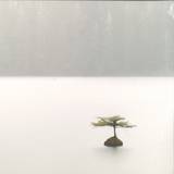 Mystica Tribe - Island Oasis (2x12")