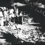 Babe Roots - Tribal War / Sweet