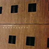 Daniel Stefanik - Reactivity 2x12"