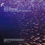 Presence Feat. Shara Nelson - Sense Of Danger