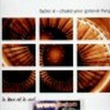 Factor E - Shake Your Groove Thang