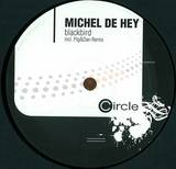 Michel De Hey - Blackbird