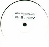 D.s. Key - What Would You Do