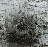 Cio D'or - Magnetfluss Remixes Ep