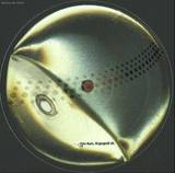 Darko Esser - Raven Ep